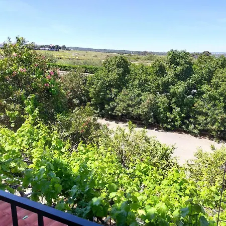 Margo La Mata La Mata (Torrevieja)